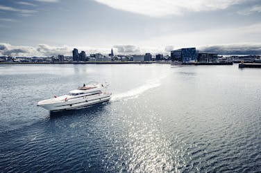 Croisière d’observation des baleines en yacht de luxe à Reykjavik